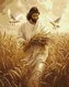 Malowanie po numerach - Żniwa Wiary 40x50cm