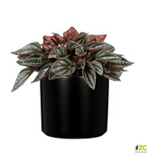 Obal 631 Night Black lesk 16