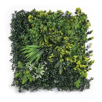 Umělá zelená stěna G21 Listo Jungle, 50x50 cm Umělá zelená stěna G21 Listo Jungle, 50x50 cm