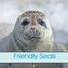 Friendly Seals (Wall Calendar 2021 300 × 300 mm Square)
