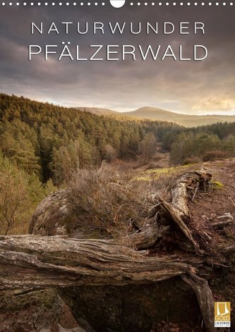 NATURWUNDER PFÄLZERWALD (Wandkalender 2021 DIN A3 hoch)