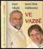 Ve vazbě