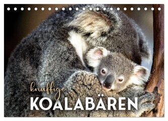 Knuffige Koalabären (Tischkalender 2026 DIN A5 quer), CALVENDO Monatskalender