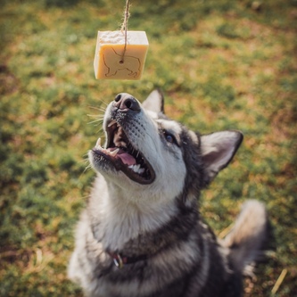 Tuhý šampon pro dlouhosrsté psy, 100 g