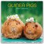 Guinea Pigs - Meerschweinchen 2026 - 16-Monatskalender