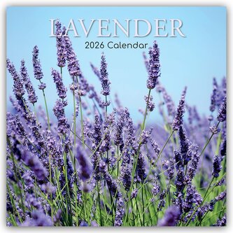 Lavender - Lavendel 2026 - 16-Monatskalender