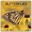 Butterflies - Schmetterlinge 2026 - 16-Monatskalender