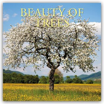 Beauty of Trees - Die Schönheit der Bäume 2026 - 16-Monatskalender