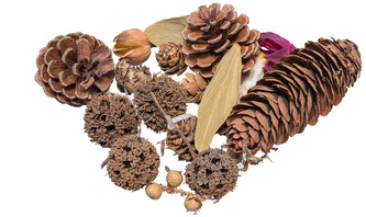 Susz dekoracyjny 30~40g zestaw 6, Brewis