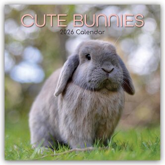 Cute Bunnies - Niedliche Kaninchen 2026 - 16-Monatskalender