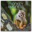 Monkey Business 2026 - 16-Monatskalender