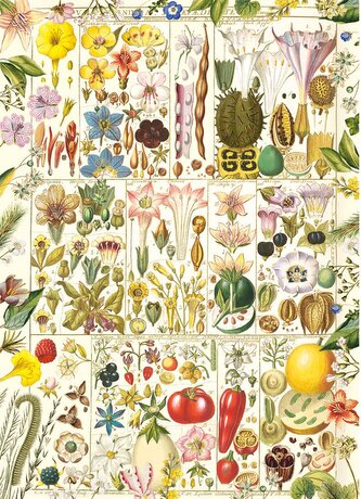 GIBSONS Puzzle Botanická blaženost 1000 dílků