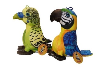 Papuga Kolorowa 42585