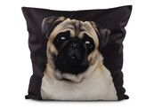 Sametový povlak na polštář pes, kočka 45x45 cm - 1 ks - 5 černá pejsek
