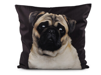 Sametový povlak na polštář pes, kočka 45x45 cm - 1 ks - 5 černá pejsek