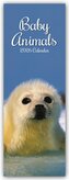 Baby Animals - Tierkinder - Slimline-Kalender 2026