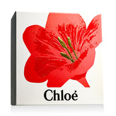 Chloé Nomade EDP 50 ml + BL 100 ml W
