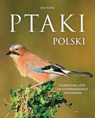 Ptaki Polski Ptaki Polski