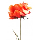 Růže lososová 70 cm  100-0020/losos