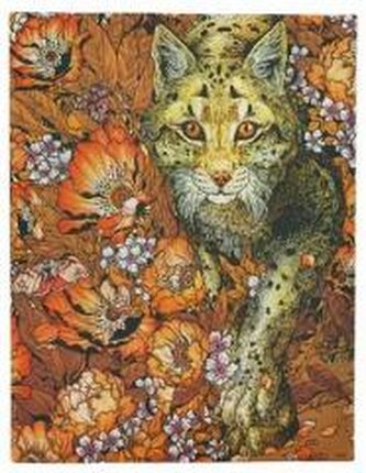 Notatnik linia Lynx Rising ultra Notatnik linia Lynx Rising ultra