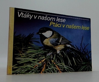 Ptáci v našem lese Ptáci v našem lese