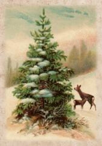 Karnet ST486 B6 + koperta Święta Choinka i sarny