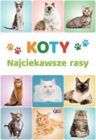 Koty. Najciekawsze rasy