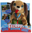 Psík Floppy