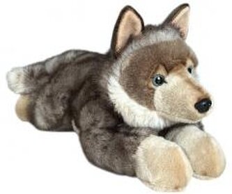 Wilk leżący 61cm