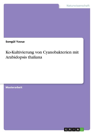 Ko-Kultivierung von Cyanobakterien mit Arabidopsis thaliana