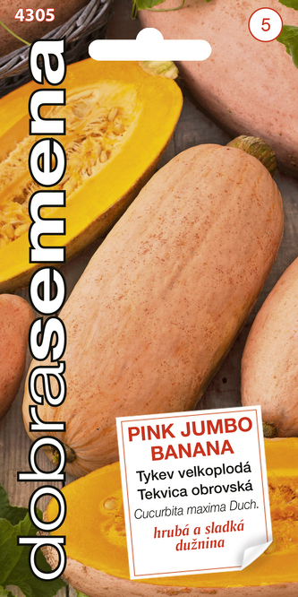 Dobrá semena Tykev velkoplodá - Pink Jumbo Banana 7s