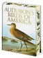 Audubon´s Birds of America