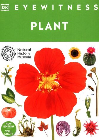 Eyewitness Plant Eyewitness Plant