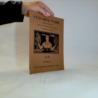 Výtvarné snahy (5-6 ročník VII)