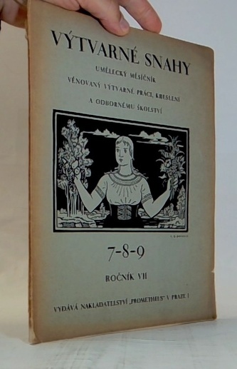 Výtvarné snahy (7-8-9. ročník VII)