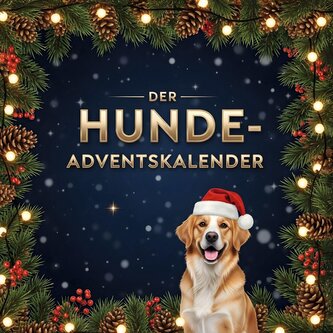 Der Hunde-Adventskalender