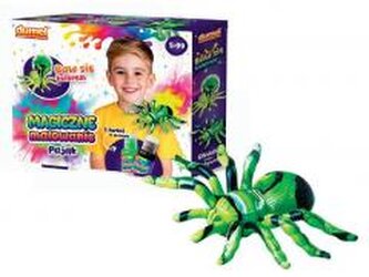 Magiczne malowanie Pająk