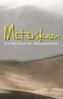 Meterikon