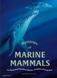 Mysteries of Marine Mammals. An Illustrated Guide to Whales, Dolphins, and Porpoises