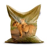 Sedací vak Lvíčata: 200x140 cm