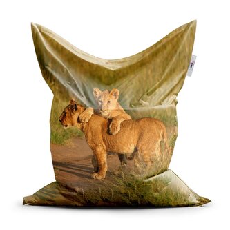 Sedací vak Lvíčata: 200x140 cm