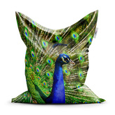 Sedací vak Páv: 200x140 cm