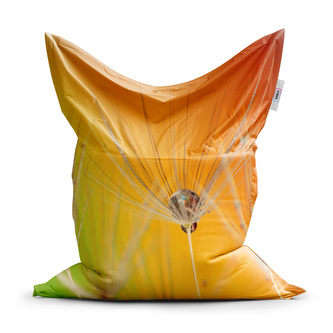 Sedací vak Odkvetlé pampelišky 2: 200x140 cm