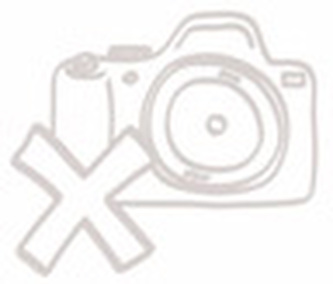 Stromeček k zavěšení X8191