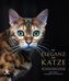 Die Eleganz der Katze