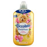 Coccolino aviváž 1750ml Concentrato 76 PD Sandalo & Caprifoglio - zlatá