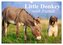 Little Donkey with Friends (Wall Calendar 2026 DIN A3 landscape), CALVENDO 12 Month Wall Calendar