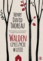 Walden. Czyli życie w lesie