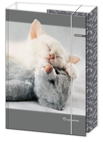 Teczka z gumką A4 Priplak Rachael Hale