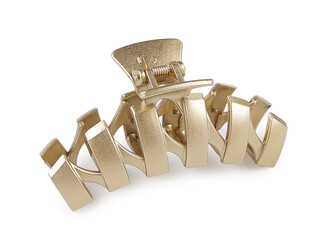 Skřipec do vlasů - 1 ks - 5 zlatá sv. mat